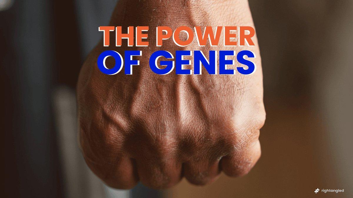 The Power of Genes - Rightangled